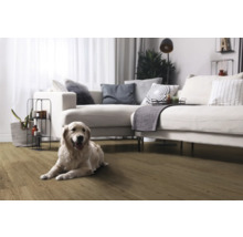 Woonkamer met laminaatvloer en een Golden Retriever hond