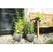 Tuinscene met planten in potten en houten bank op grind