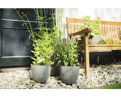 Tuinscene met planten in potten en houten bank op grind