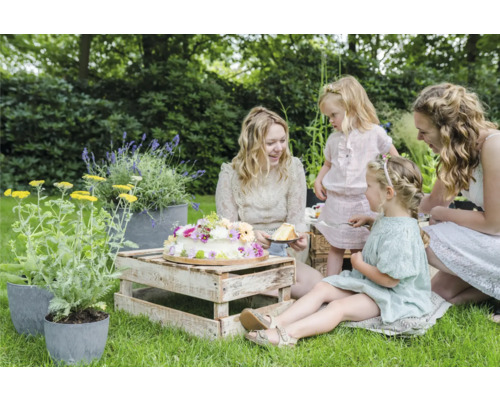 Tuinscene met vrouwen en kinderen die picknicken met bloementaart op een houten kist en beplante bloempotten