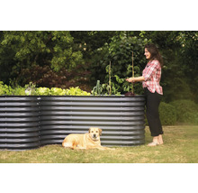 Metalen verhoogde tuinbak met planten, vrouw en hond in de tuin.