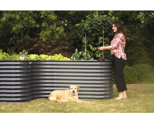 Metalen verhoogde tuinbak met planten, vrouw en hond in de tuin.