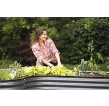 Vrouw verzorgt sla in een verhoogde tuinbak in de tuin.