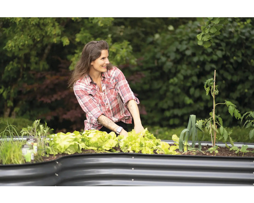 Vrouw verzorgt sla in een verhoogde tuinbak in de tuin.