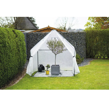 Tuin met plantentent, kachel en planten