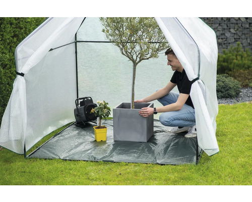 Een scène met een man die een olijfboom in een plantenbak in een folietunnel plaatst, met een verwarmingstoestel in de buurt