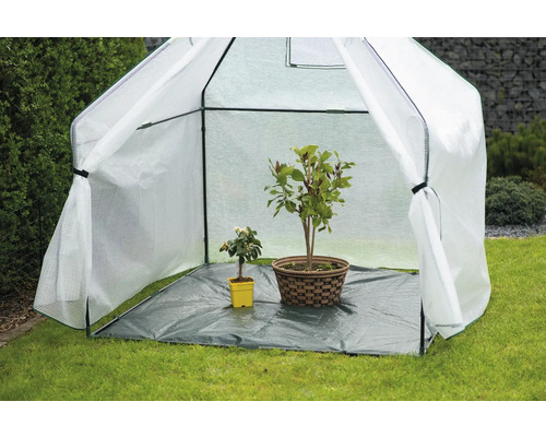 Mini-kas met planten in de tuin