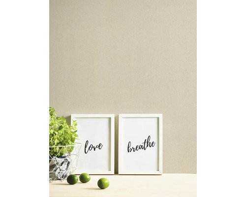 Decoratieve scène met twee ingelijste posters met de woorden liefde en ademen, een pot oregano en limoenen.