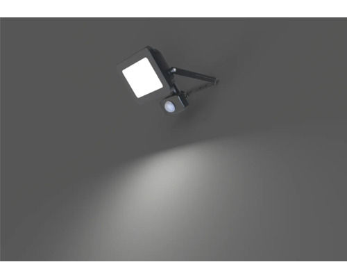 LED-buitenstraler met bewegingssensor