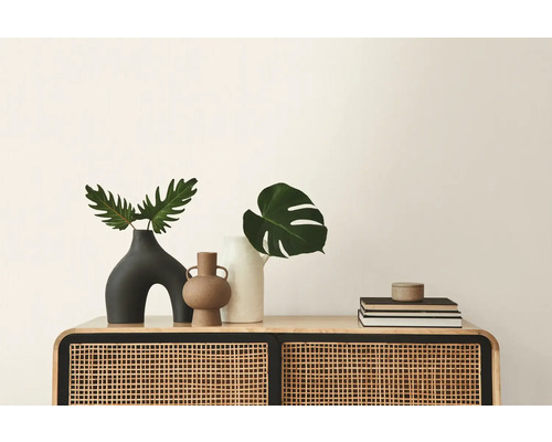 Decoratieve vazen en boeken op een kast met een rotan front