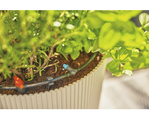 Irrigatiesysteem in plantenbak met kruiden