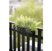 Een zwarte balkonbak met beplanting hangt aan een reling.