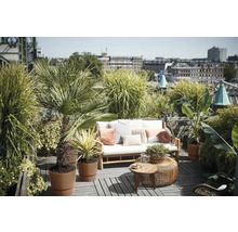 Dakterras met zitgroep, planten en uitzicht op de stad