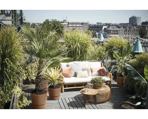 Dakterras met zitgroep, planten en uitzicht op de stad