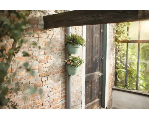 Twee beplante bloempotten aan een regenpijp voor een bakstenen muur