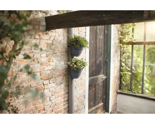 Twee bloempotten met planten aan een regenpijp op een bakstenen muur