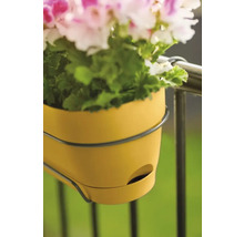 Gele balkonbak met beugel en bloeiende planten.