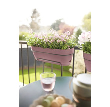 Balkonscène met roze bloembak die aan een reling hangt en een tafel met drankjes en snoep.
