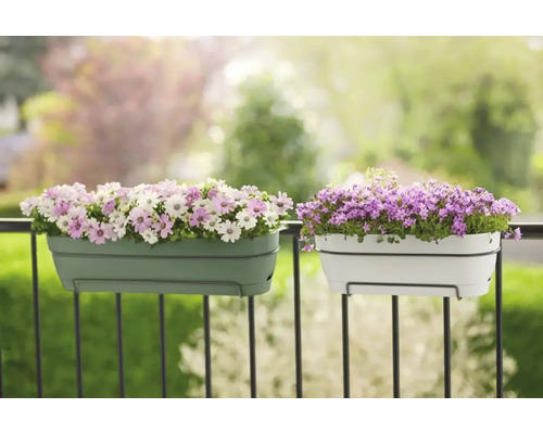 Twee balkonbakken met bloemen op een balkonreling