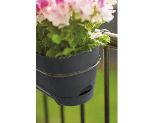 Bloembak voor bevestiging aan balkonreling met bloemen