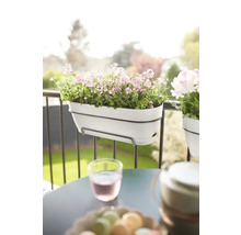 Scene met een witte balkonbak met bloemen op de reling