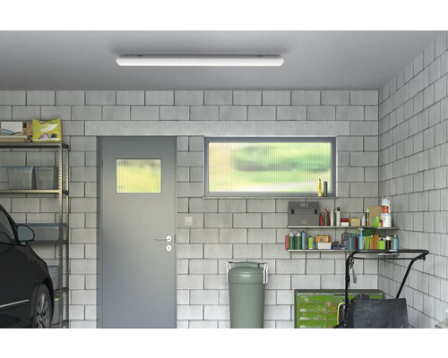 Garage met rekken, deur, raam en plafondlamp.