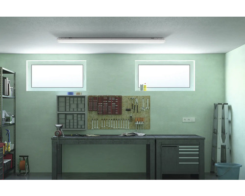 Werkplaats met werkbank, rekken, gereedschapswand en fluorescentielamp