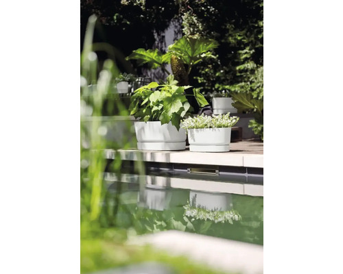 Plantenbakken met planten op een terras naast een zwembad