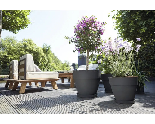 Terras met tuinmeubelen en beplanting in potten