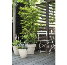 Tuinscene met planten in plantenbakken op een houten terras