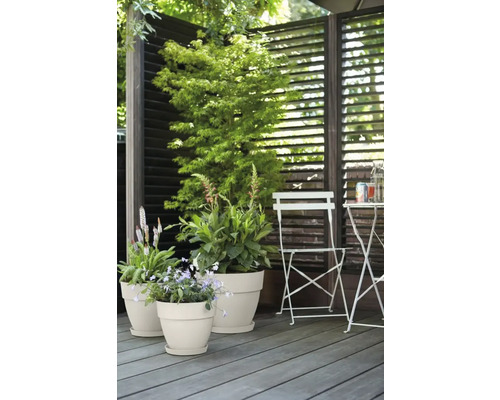 Scene met bloempotten, planten en tuinmeubelen op een houten terras