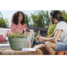 Bloempot met plant op rotan tafel met twee personen op de achtergrond