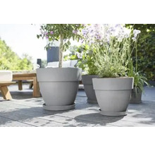 Scene met meerdere grijze plantenbakken met planten op een terras.