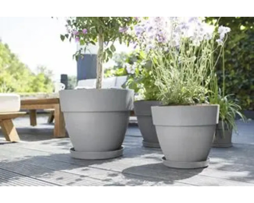 Scene met meerdere grijze plantenbakken met planten op een terras.