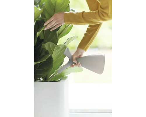 Vrouw geeft kamerplant water met gieter