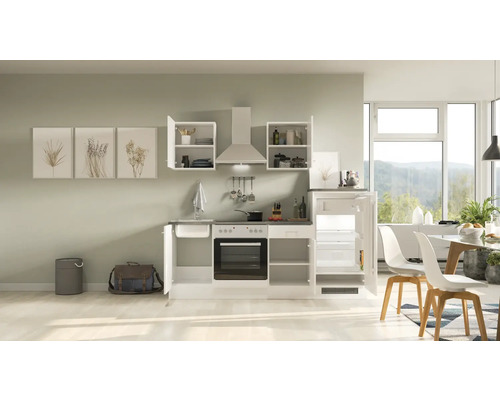 Compacte keukenunit met spoelbak, fornuis, oven, afzuigkap en koelkast in een lichte, moderne keuken.