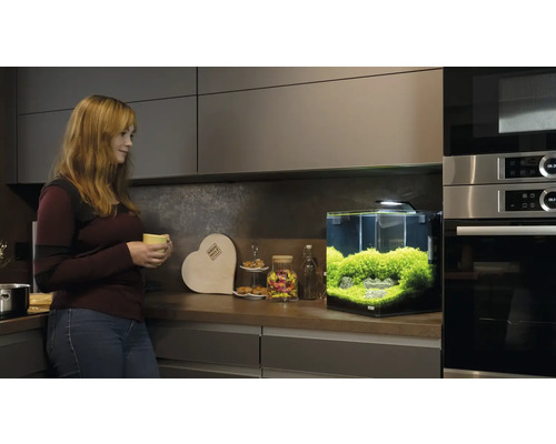 Aquarium met beplanting in een moderne keuken