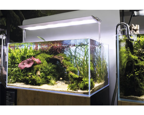 AQUAEL Aquariumset Ultrascape-slim 243 L met LED excl. onderkast, 90x60x45 cm Aquarium met waterplanten en verlichting