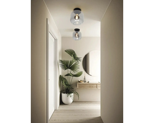 Hal met twee plafondlampen met glazen kap en een kamerplant