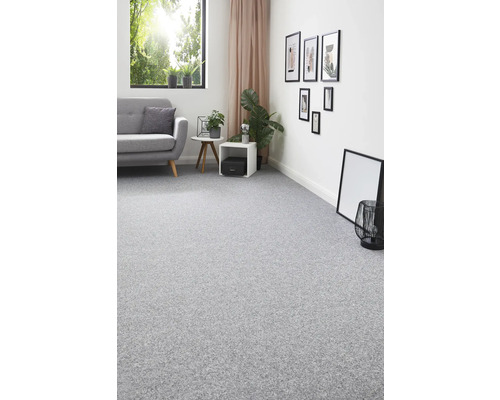 Lichte woonkamer met grijs tapijt, bank en decoratie