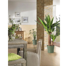 Woonkamer met tafel, stoel en diverse kamerplanten