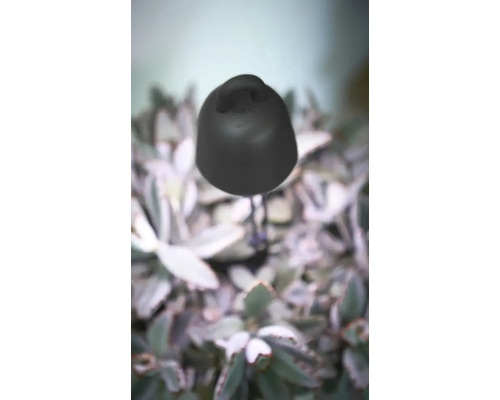 Kunststof gieter voor kamerplanten