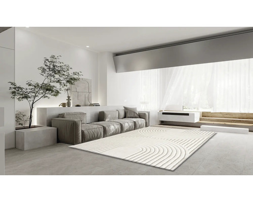 Woonkamer met bank, plant en vloerkleed met geometrische patronen