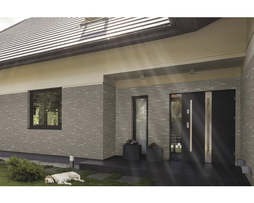 Gevel van een huis met raam, voordeur en liggende hond