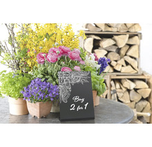 Bloemstuk met verschillende voorjaarsbloeiers en de aanbieding: Koop 2 voor de prijs van 1