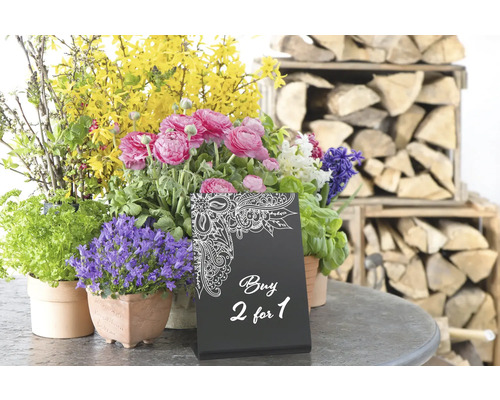 Bloemstuk met verschillende voorjaarsbloeiers en de aanbieding: Koop 2 voor de prijs van 1