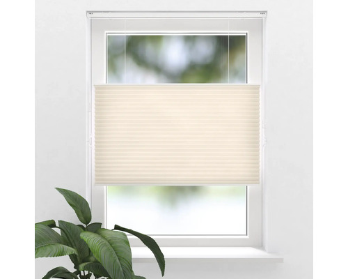 Raam met plisségordijn voor schaduw