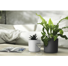 Twee planten in potten op een tafel in de woonkamer.