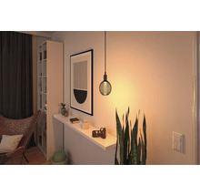 Woonkamer met hanglamp, rek en kamerplant