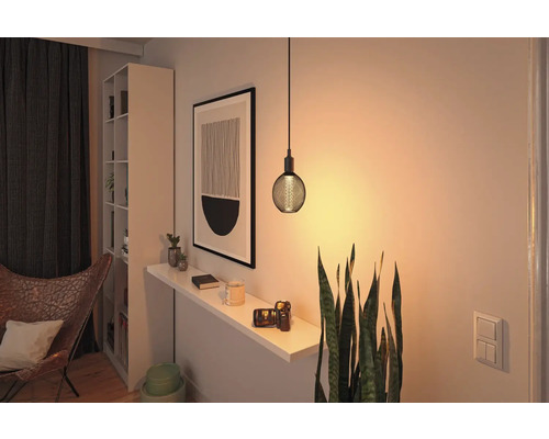 Woonkamer met hanglamp, rek en kamerplant